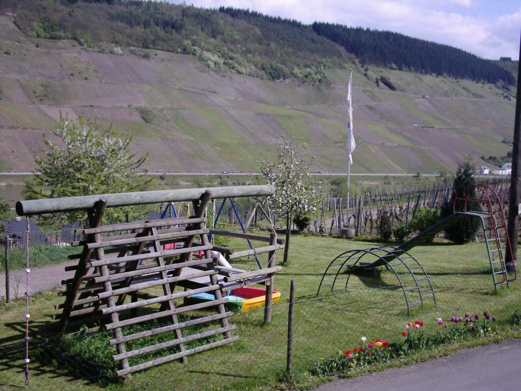 Weingut-Brennerei-Gaestehaus Emil Dauns Reil Exterior photo